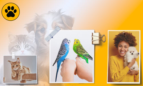 دليلك الذكي لعالم الحيوانات